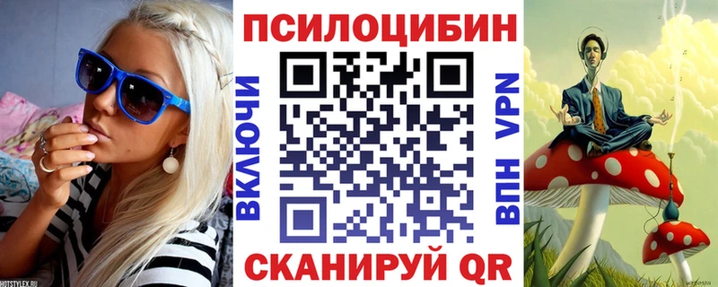 Псилоцибиновые грибы Psilocybe  наркотики  Рославль 