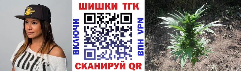 Конопля конопля Рославль